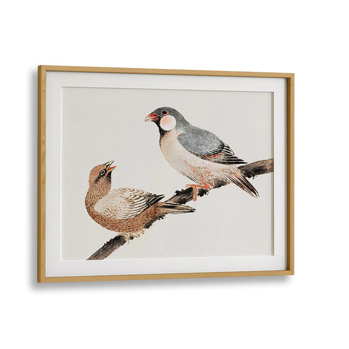 BIRDS FROM ALBUM OF SKETCHES (1814) , VINTAGE PAINTINGS