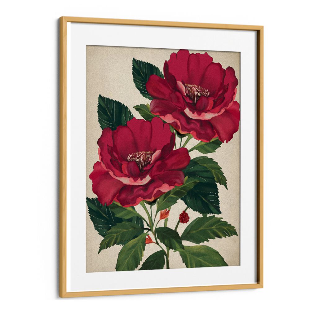 Stunning ROSE OF PROVIDENCE, FLORAL FLOWER PAINTINGS in vibrant reds, perfect for elevating any space with elegance.