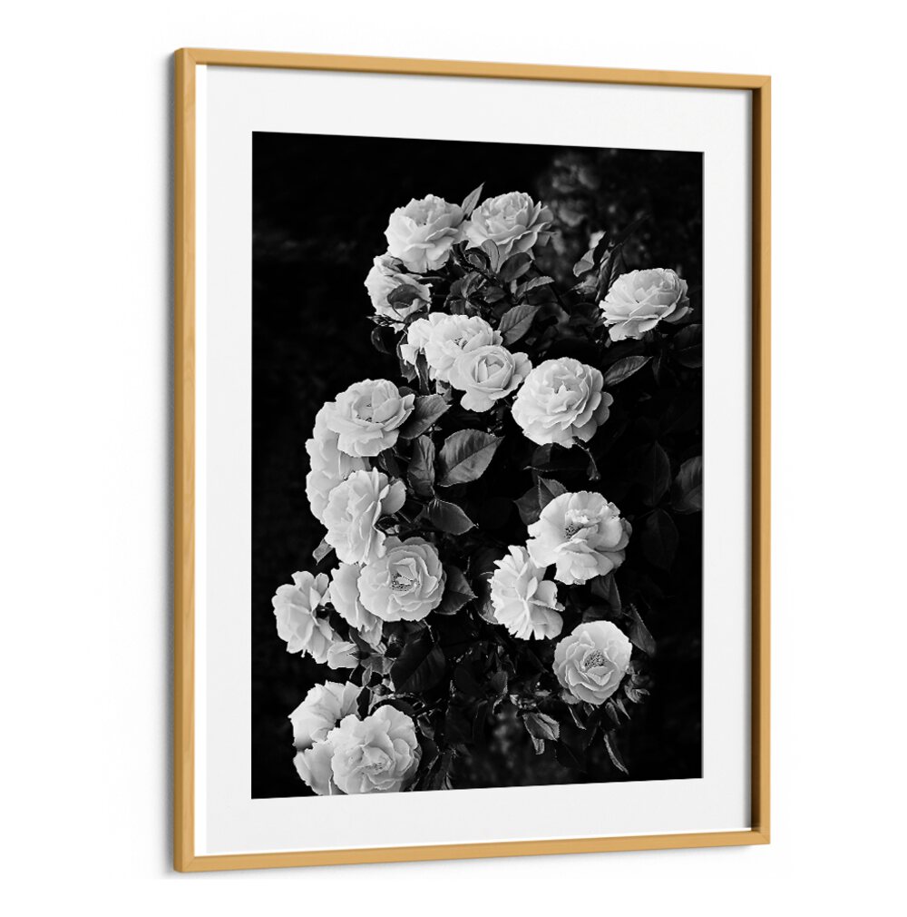 Elegant ROSE BUSH, FLORAL FLOWER PAINTINGS showcase stunning blooms, perfect for transforming your garden into paradise.