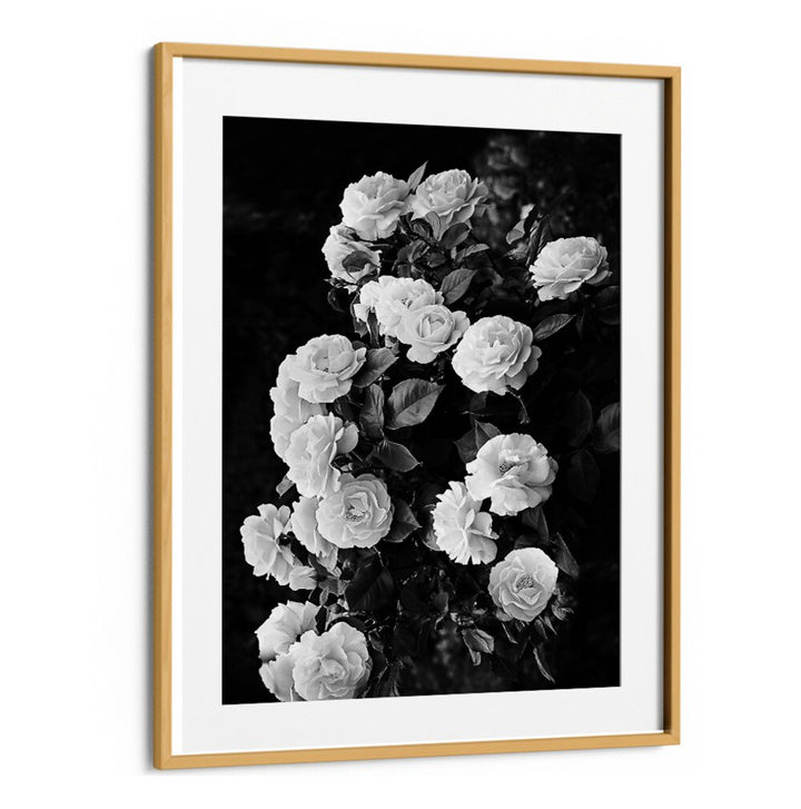 Elegant ROSE BUSH, FLORAL FLOWER PAINTINGS showcase stunning blooms, perfect for transforming your garden into paradise.