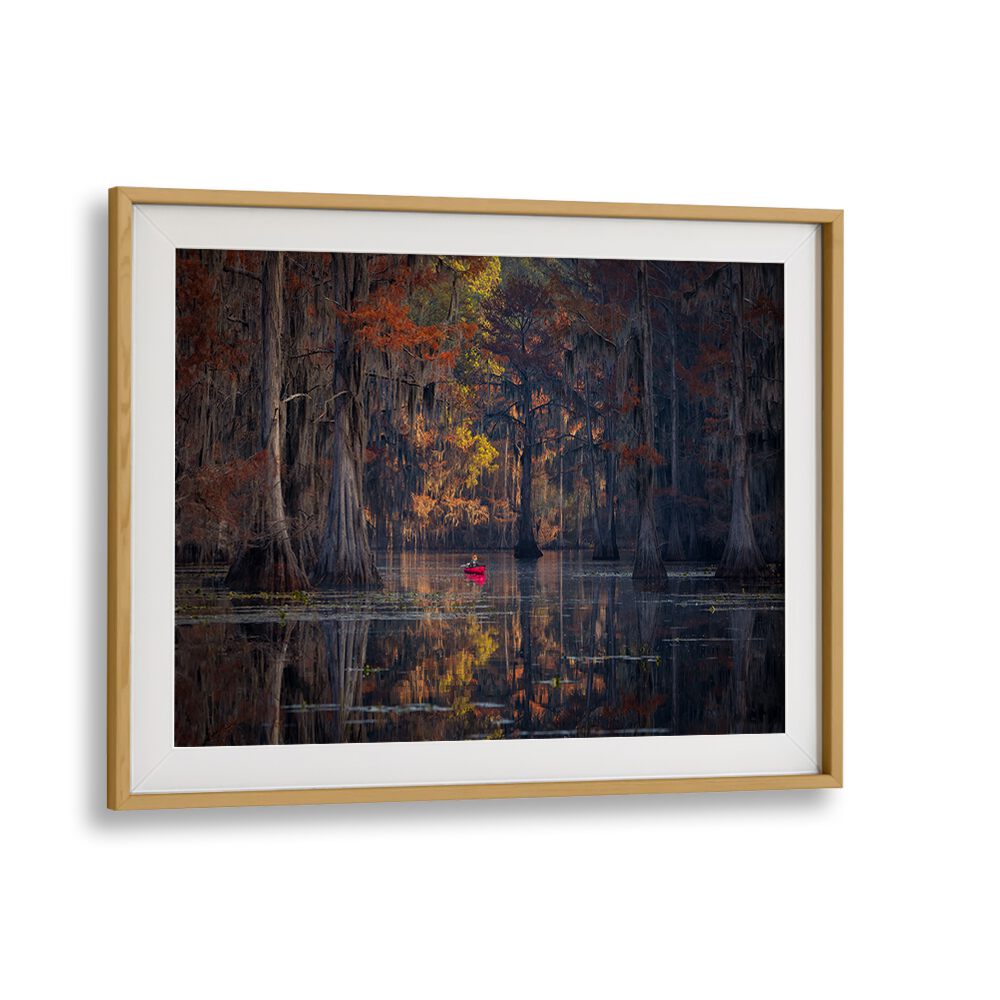 Serene autumn landscape at Caddo Lake, featured in CADDO LAKE 2023, PHOTOGRAPHY PRINTS for nature lovers.