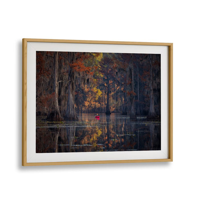 Serene autumn landscape at Caddo Lake, featured in CADDO LAKE 2023, PHOTOGRAPHY PRINTS for nature lovers.