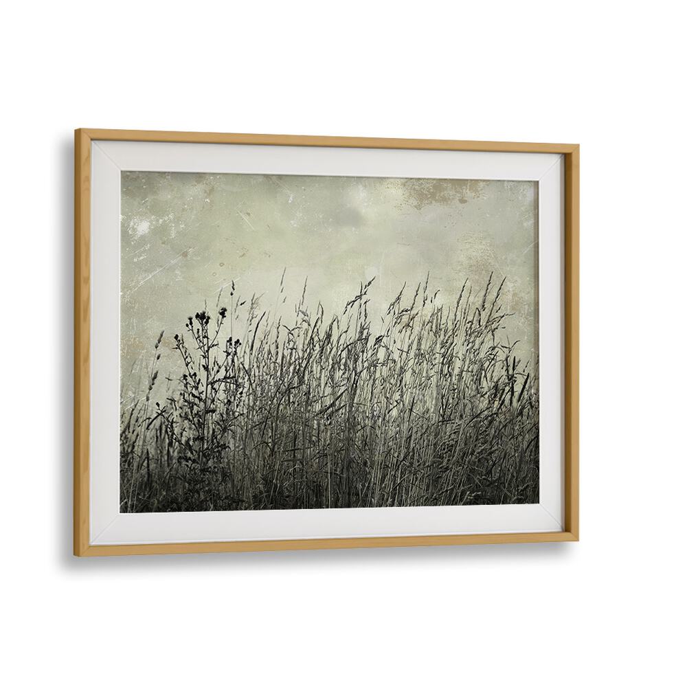 Elevate your space with MEADOW, FLORAL FLOWER PAINTINGS, showcasing abstract floral brushstrokes and botanical art.