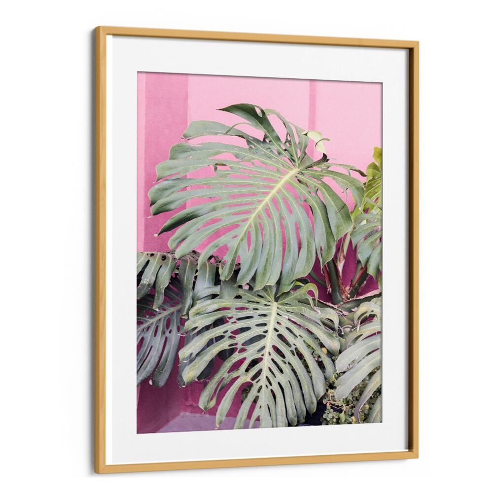 Lush MONSTERA LEAF LA MURALLA, FLORAL FLOWER PAINTINGS, enhancing your home with tropical beauty and botanical charm.