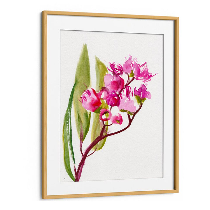 EUCALYPTUS , FLORAL FLOWER PAINTINGS