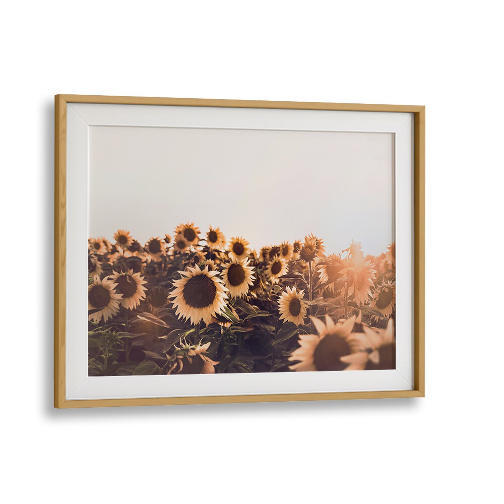 Vibrant SUNFLOWERS II, FLORAL FLOWER PAINTINGS brighten any space with warmth and positivity for your home decor.