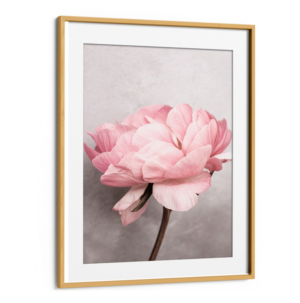 Delight in the PEONY, a stunning floral flower painting that transforms spaces with its vibrant beauty and charm.