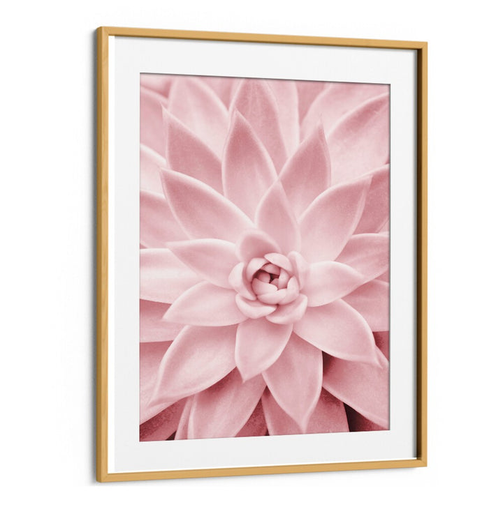 Framed PINK SUCCULENT, FLORAL FLOWER PAINTINGS enhance home decor with beauty and charm, perfect for any space.