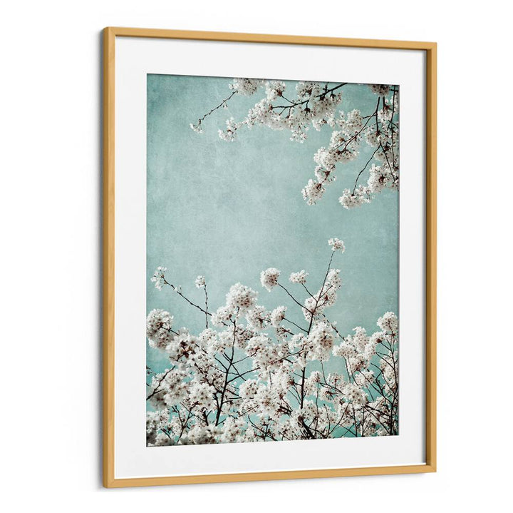 Delicate blossoms against a soft blue background in SPRING TIME, FLORAL FLOWER PAINTINGS for a refreshing home touch.