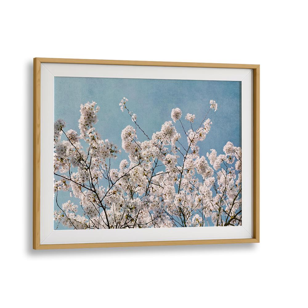 Stunning BLUE SKY BLOSSOMS, FLORAL FLOWER PAINTINGS showcasing delicate flowers against a serene blue sky backdrop.