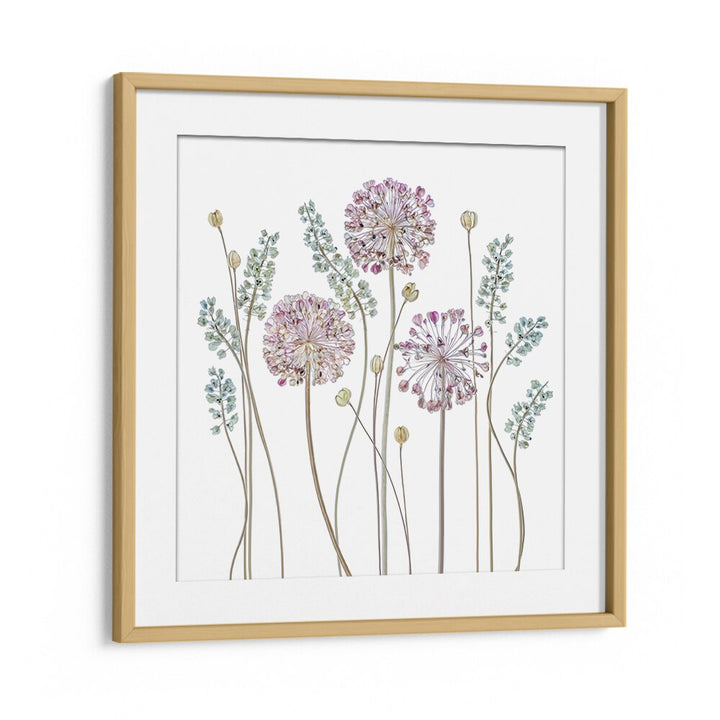 Elegant ALLIUM II, FLORAL FLOWER PAINTINGS, perfect for enhancing your home décor with charm and style.