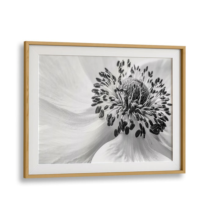 Stunning black and white ANEMONE, FLORAL FLOWER PAINTINGS, perfect for elevating your home decor aesthetic.