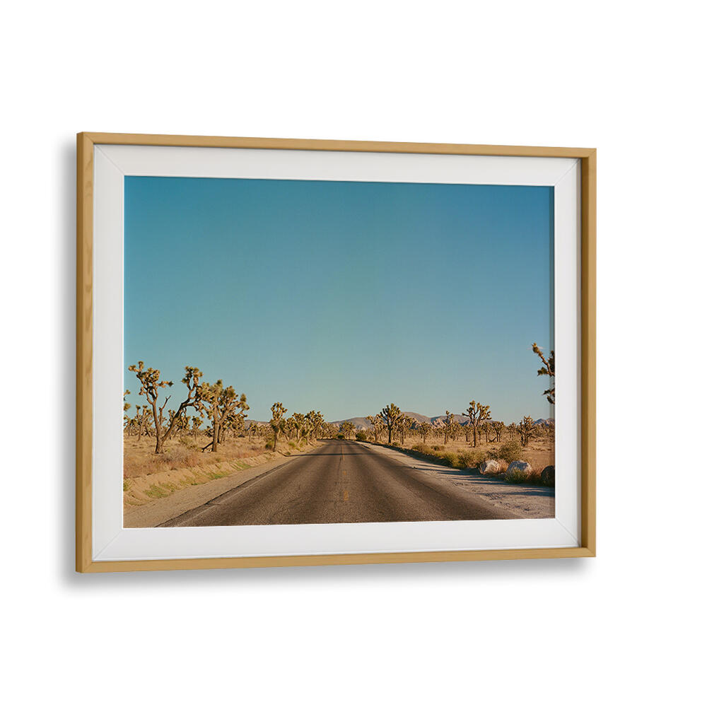 JOSHUA TREE ROAD , PHOTOGRAPHY PRINTS