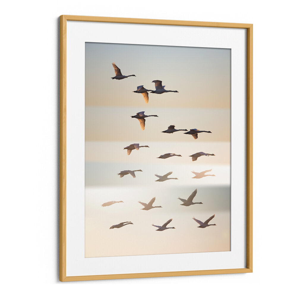 PAST THE SUN , PHOTOGRAPHY PRINTS
