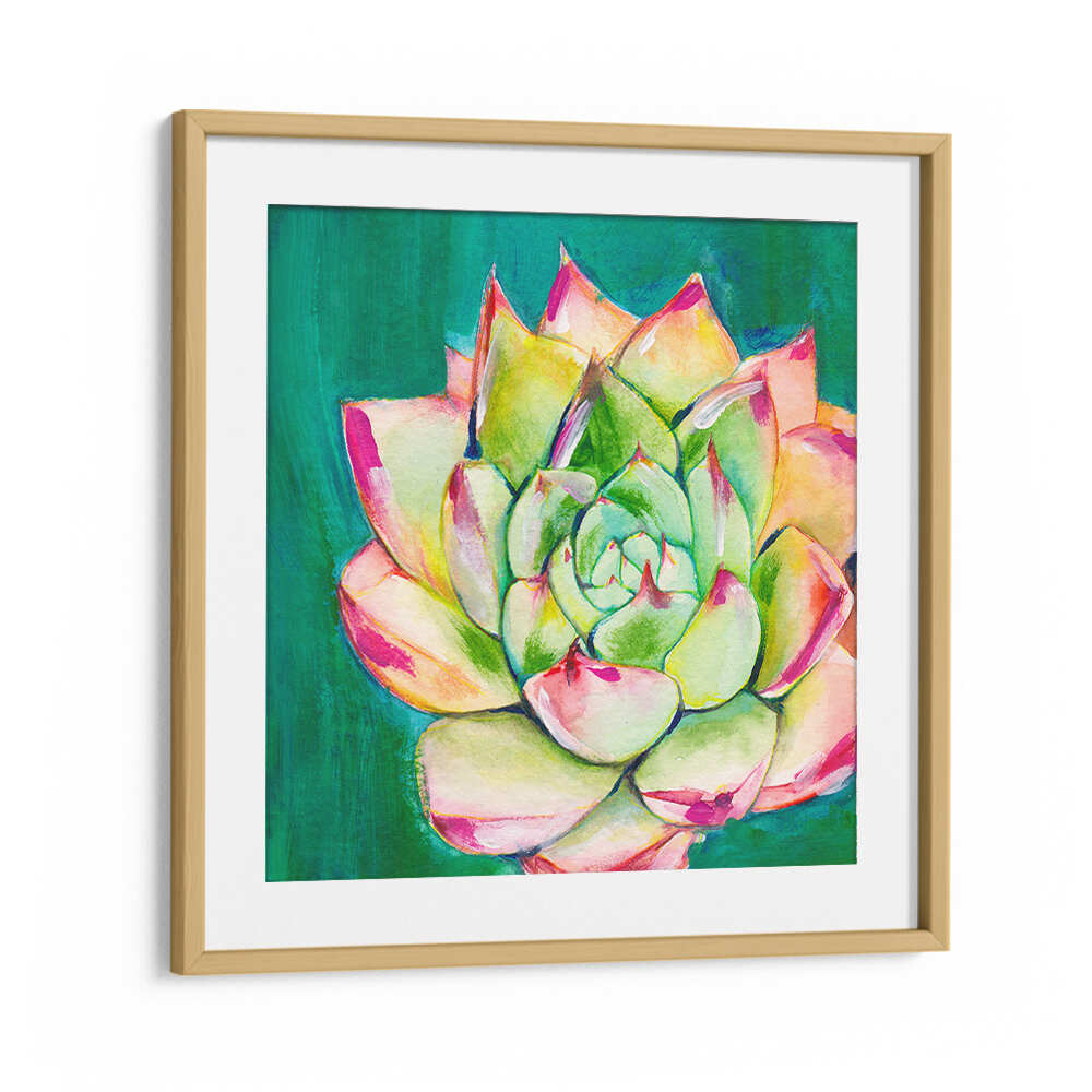 SUCCULENT I LARGE , FLORAL FLOWER PAINTINGS