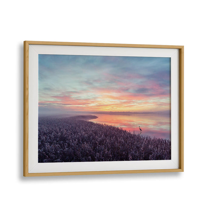 THE HERON'S MORNING VIEW , PHOTOGRAPHY PRINTS