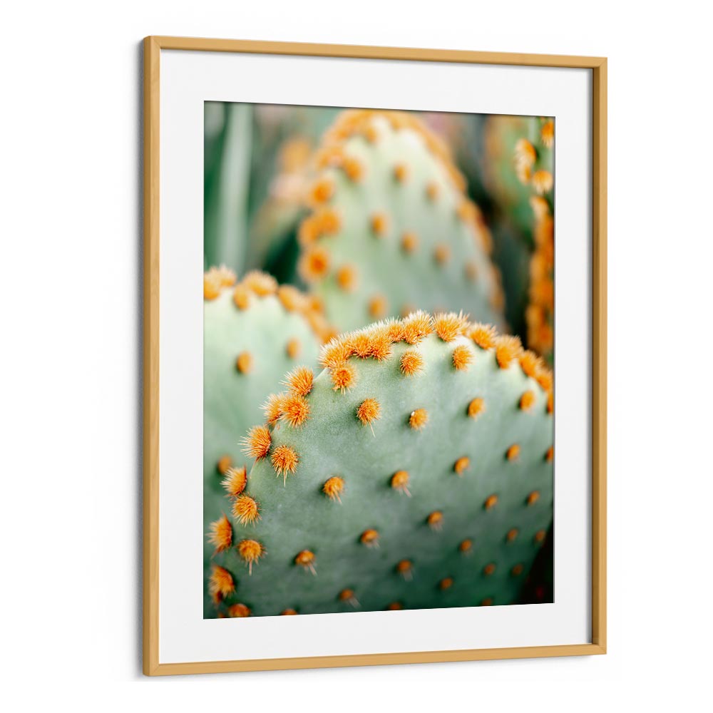 ORANGE AND GREEN II , PHOTOGRAPHY PRINTS