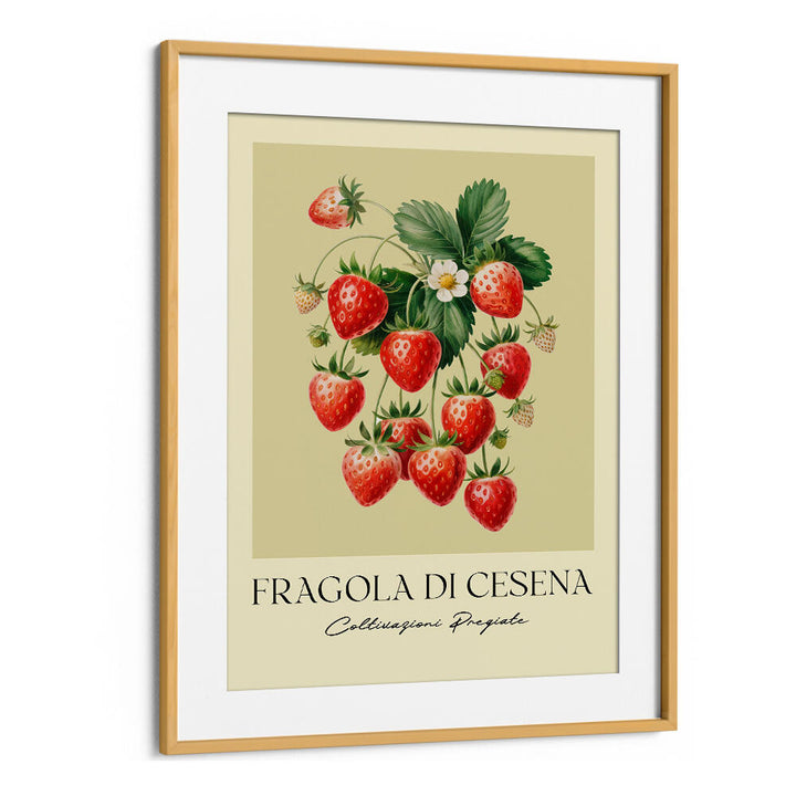 FRAGOLA DI CESENA , FLORAL FLOWER PAINTINGS