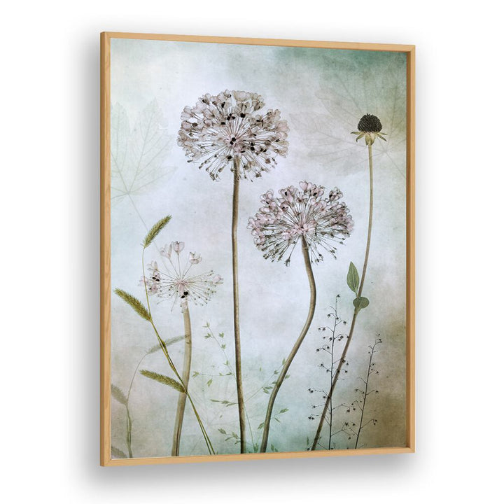Elegant ALLIUM, FLORAL FLOWER PAINTINGS showcasing delicate blooms, perfect for enhancing your home decor with sophistication.