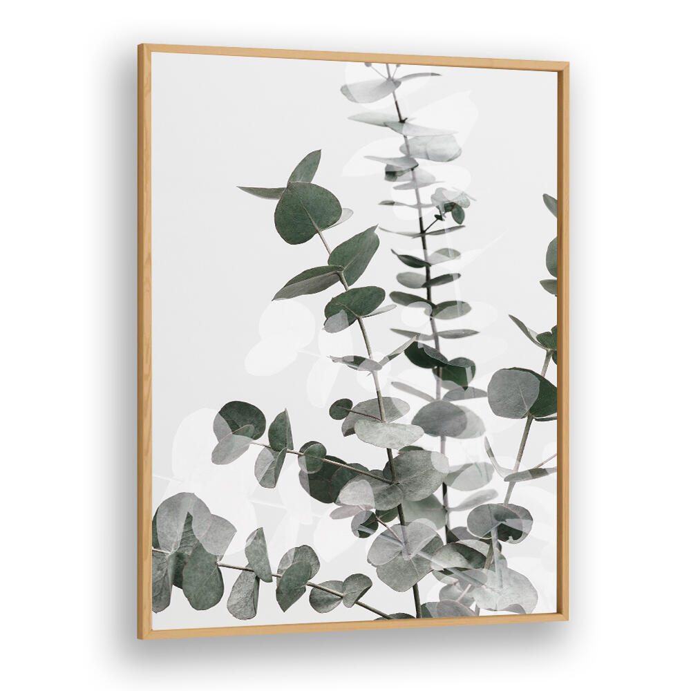 EUCALYPTUS CREATIVE VI, FLORAL FLOWER PAINTINGS showcase elegant eucalyptus leaves, enhancing any living space beautifully.
