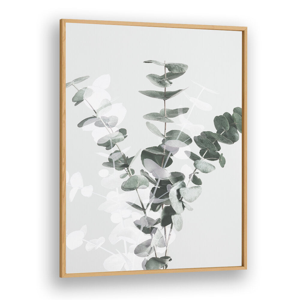 EUCALYPTUS CREATIVE VII, FLORAL FLOWER PAINTINGS beautifully showcase abstract eucalyptus leaves for vibrant decor.