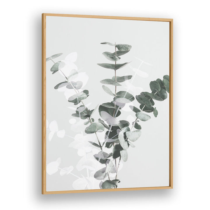 EUCALYPTUS CREATIVE VII, FLORAL FLOWER PAINTINGS beautifully showcase abstract eucalyptus leaves for vibrant decor.