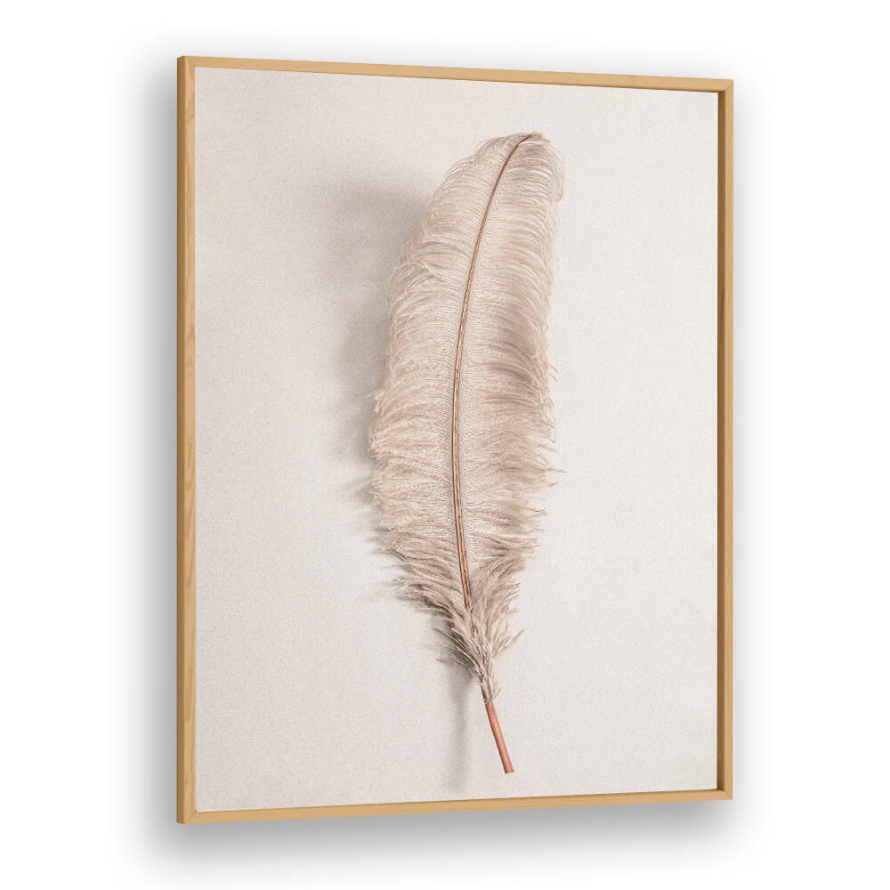 Elegant FEATHER II, BOHO ART PAINTINGS showcasing a soft feather design, perfect for modern bohemian decor.