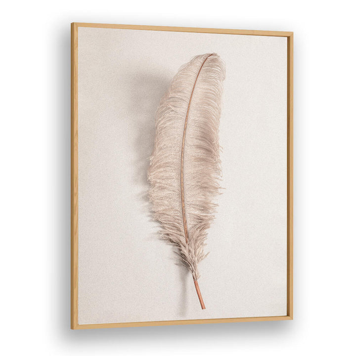 Elegant FEATHER II, BOHO ART PAINTINGS showcasing a soft feather design, perfect for modern bohemian decor.