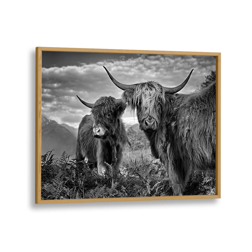 FRIENDS , PHOTOGRAPHY PRINTS