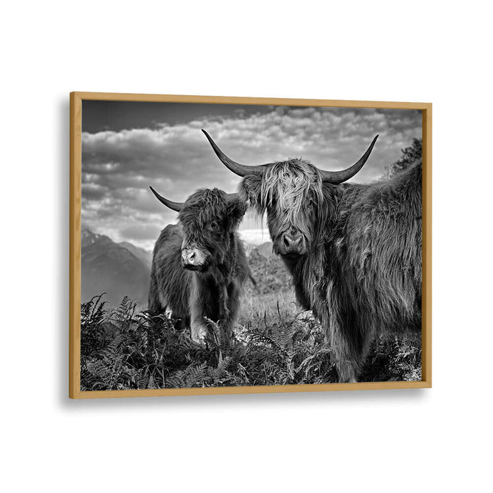 FRIENDS , PHOTOGRAPHY PRINTS