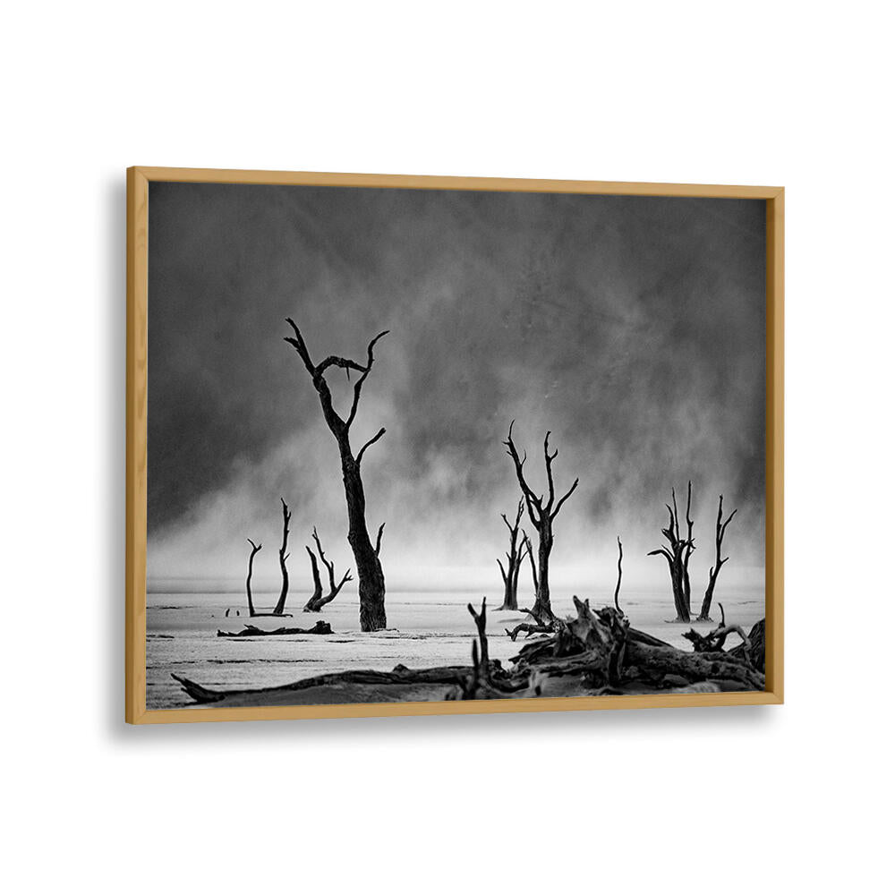 NAMIBIA - THE SPIRIT OF WILDERNESS III , PHOTOGRAPHY PRINTS
