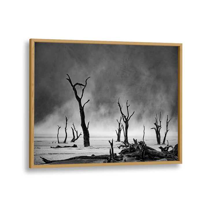 NAMIBIA - THE SPIRIT OF WILDERNESS III , PHOTOGRAPHY PRINTS