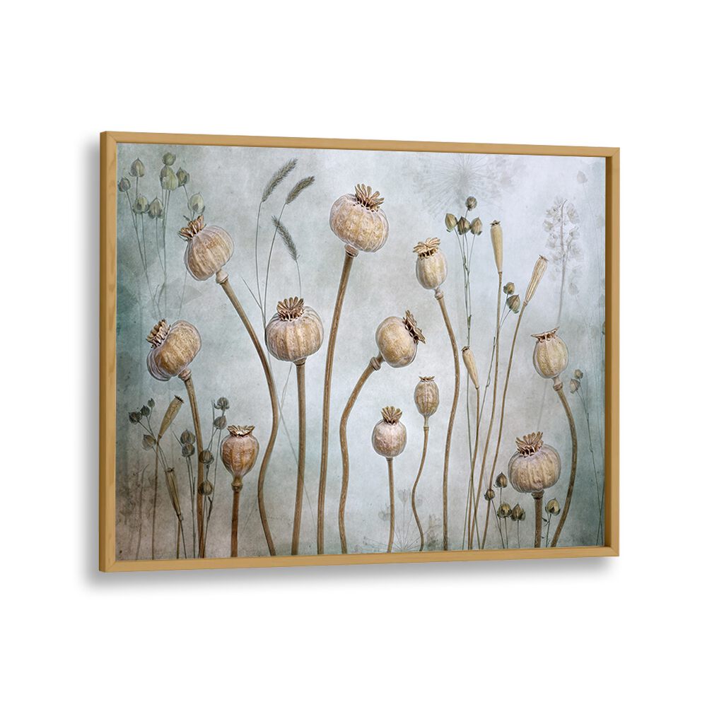 Elegant PAPAVER, FLORAL FLOWER PAINTINGS showcase delicate floral designs, perfect for enhancing home decor.