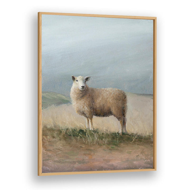 SHEEP STUDY