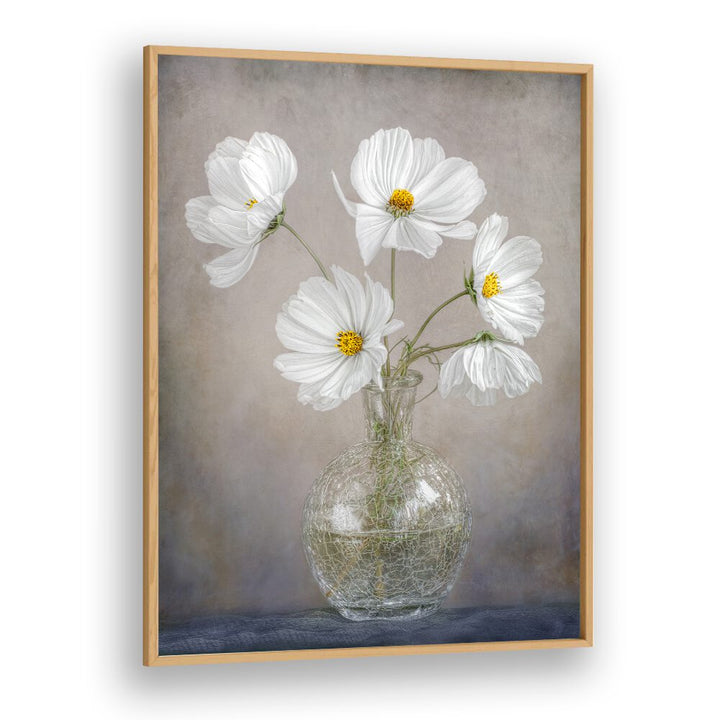 Elegant SIMPLY COSMOS, FLORAL FLOWER PAINTINGS featuring white flowers in a glass vase, perfect for stylish decor.