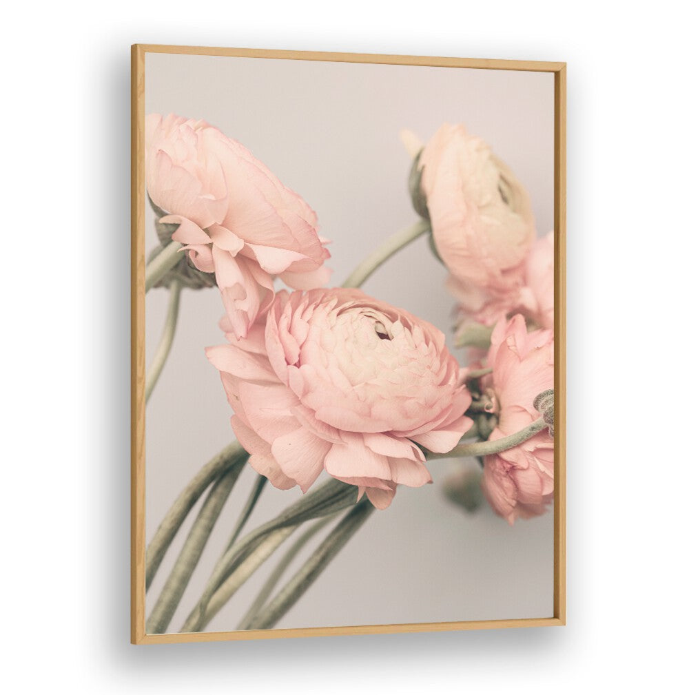 Delicate pink blooms in "ROSE III, FLORAL FLOWER PAINTINGS" add elegance to any space, perfect for floral art lovers.