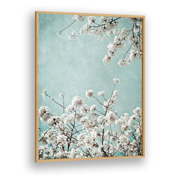 Beautiful SPRING TIME, FLORAL FLOWER PAINTINGS featuring delicate blossoms against a serene blue background.