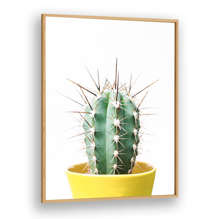 Vibrant SPIKEY CACTUS in a yellow pot, showcasing FLORAL FLOWER PAINTINGS for a striking indoor or outdoor decor.
