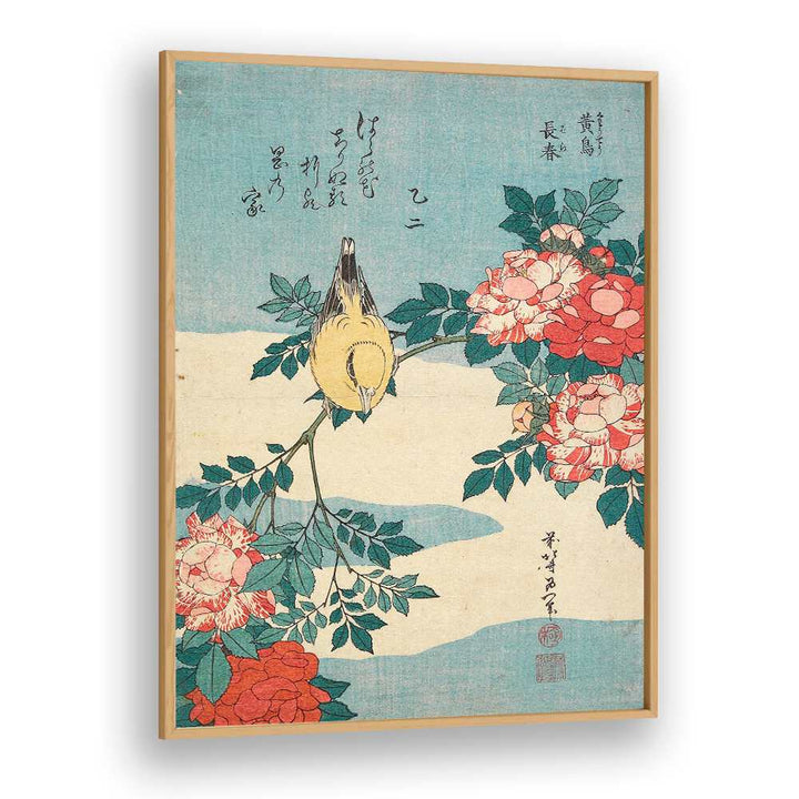 WARBLER AND ROSES , VINTAGE PAINTINGS