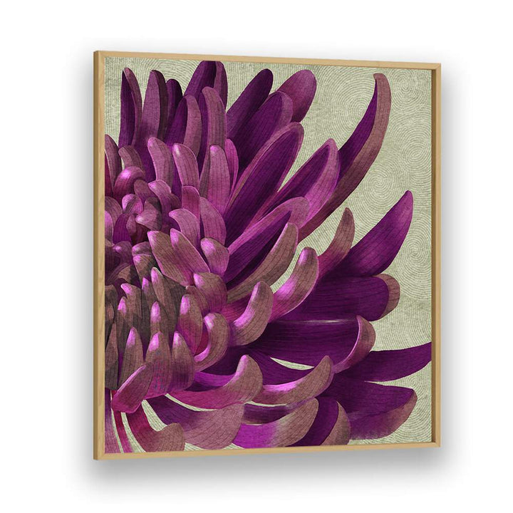 Chrysanthemum Purple, floral flower paintings showcase deep hues, enhancing any space beautifully. Perfect for floral lovers.