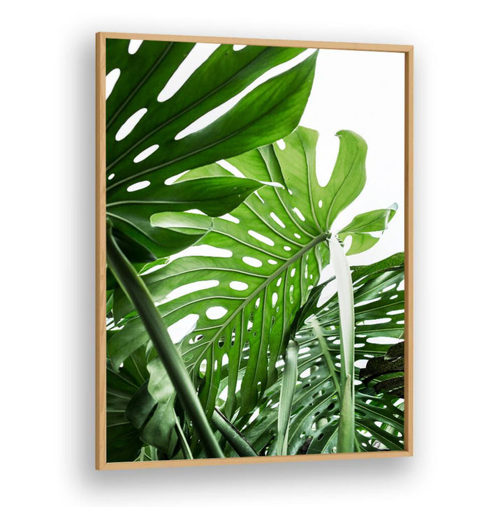 Lush green leaves highlighted in the JUNGLE, FLORAL FLOWER PAINTINGS evoke the beauty of nature indoors.