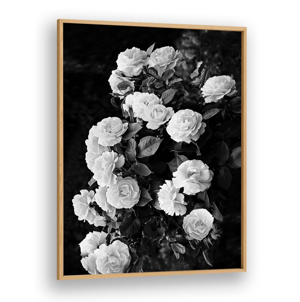 Elegant ROSE BUSH, FLORAL FLOWER PAINTINGS showcase stunning blooms, perfect for transforming your garden into a paradise.