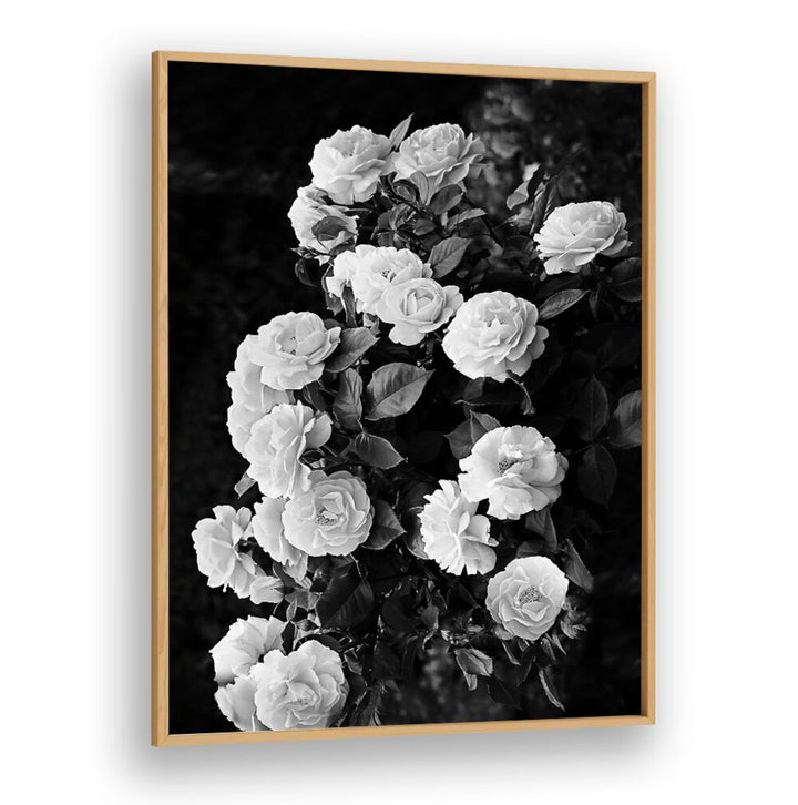 Elegant ROSE BUSH, FLORAL FLOWER PAINTINGS showcase stunning blooms, perfect for transforming your garden into a paradise.