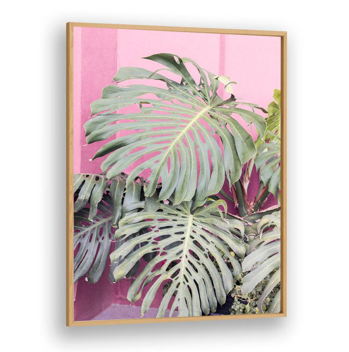 Lush MONSTERA LEAF LA MURALLA, FLORAL FLOWER PAINTINGS bringing tropical beauty to your living space décor.