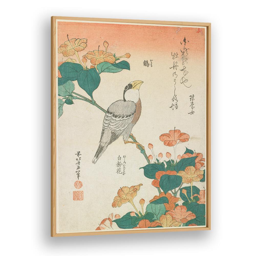HAWFINCH AND MARVEL-OF-PERU , VINTAGE PAINTINGS