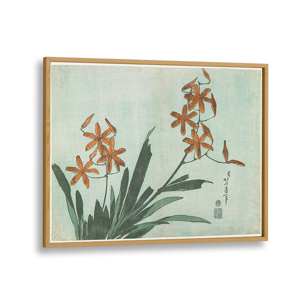 BLACKBERRY LILY , VINTAGE PAINTINGS