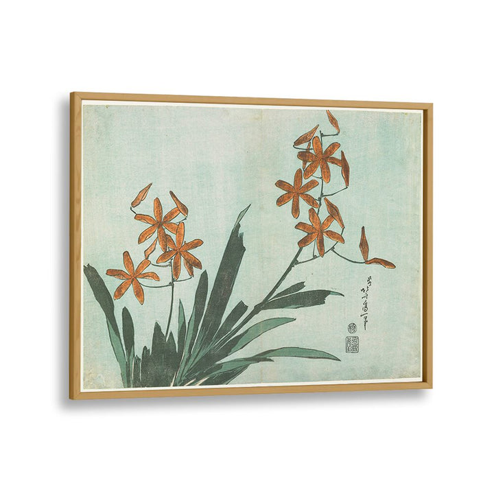 BLACKBERRY LILY , VINTAGE PAINTINGS