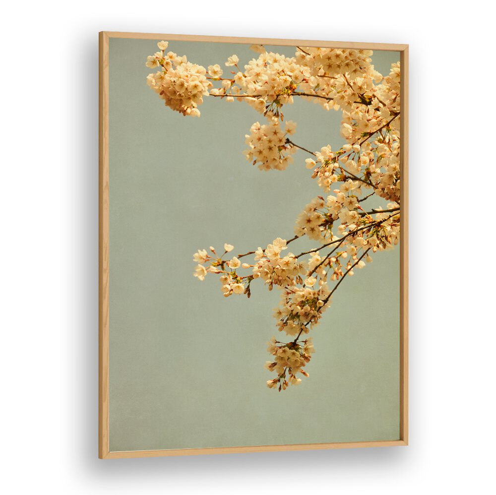 Delicate blooms against a soft backdrop in SPRING MORNING, FLORAL FLOWER PAINTINGS, capturing spring's essence beautifully.