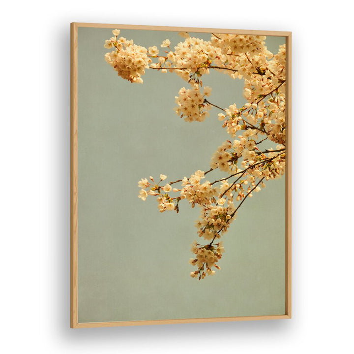 Delicate blooms against a soft backdrop in SPRING MORNING, FLORAL FLOWER PAINTINGS, capturing spring's essence beautifully.