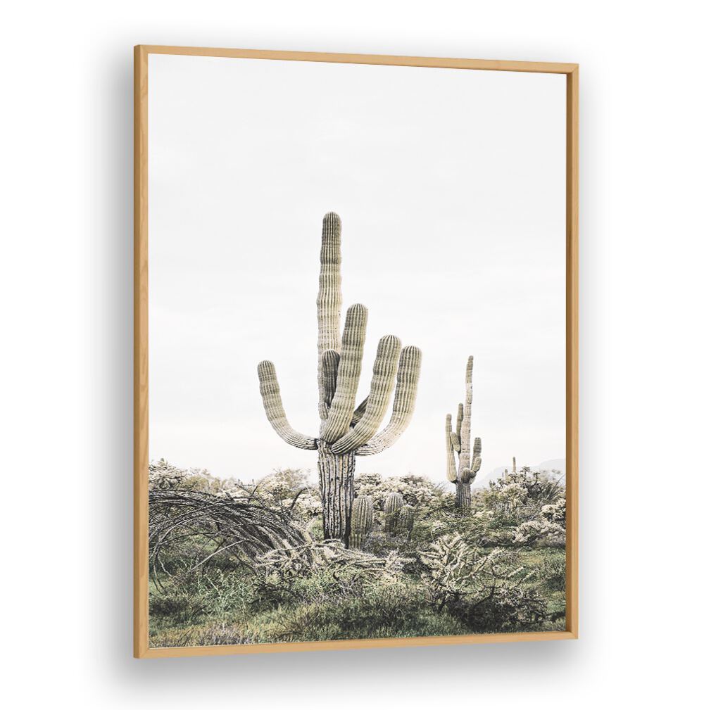 Vibrant PINK SAGUARO, COWBOY decor piece adding modern flair to your space with its unique cactus design.